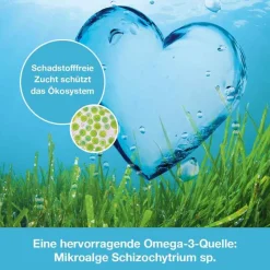 Online OMEGA3-Loges pflanzlich Kapseln, 60 St Omega 3 Kapseln