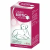 Outlet Omni Biotic Cat & Dog Pulver, 60 g