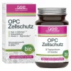 Best GSE OPC Zellschutz Complex Bio Phyto Vitamins Tabletten , 60 St