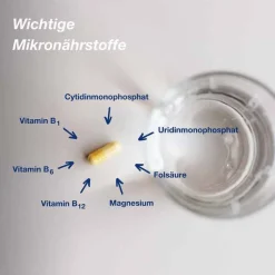 Outlet neuro Kapseln, 30 St Hirnleistung & Nerven