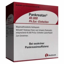 Online Pankreatan 40.000 Ph.Eur.-Einheiten magensaftresistent Hartkapseln , 200 St