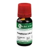 Clearance Arcana Phosphorus LM 60 Dilution, 10 ml