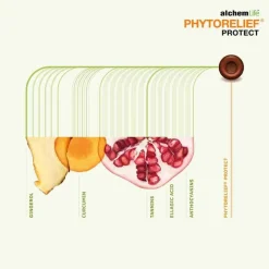 Best Protect Lutschpastillen, 12 St Halsschmerztabletten