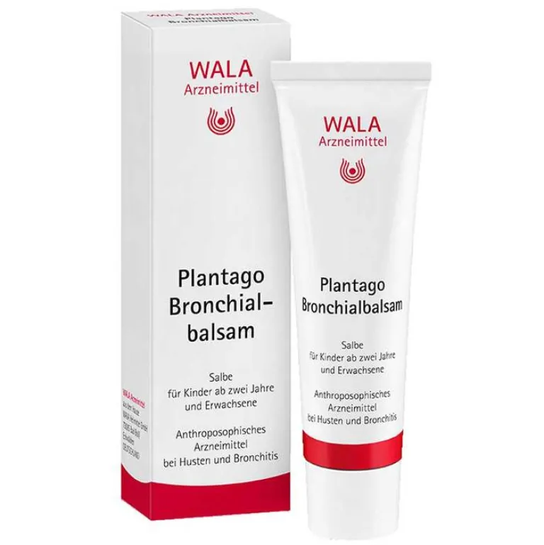 Plantago Bronchialbalsam, 30 g Kinder Kinder & Säuglinge