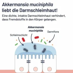 Best Probio-Cult AKK1 Akkermansia Tabletten, 30 St Bakterienkulturen