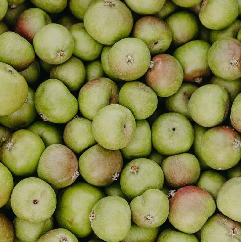 Outlet Rausch Anti-Pollution-Spray mit Schweizer Apfel, 100 ml