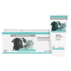Sale Reconvales Power Vitaminpaste für Hunde / Katzen, 1X70 g Aufbau & Leistung|Aufbau & Leistungssteigerung