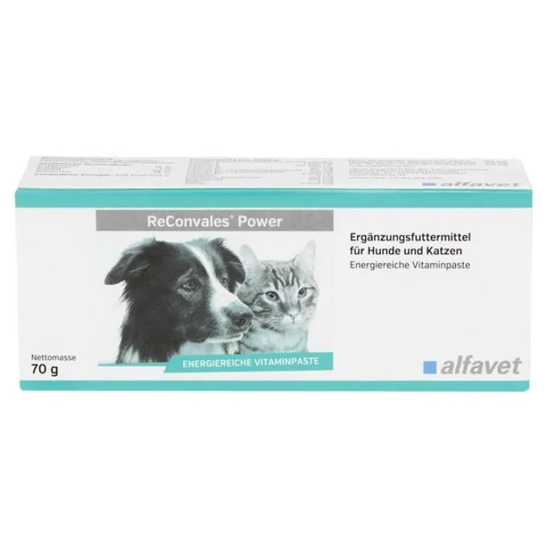 Sale Reconvales Power Vitaminpaste für Hunde / Katzen, 1X70 g Aufbau & Leistung|Aufbau & Leistungssteigerung