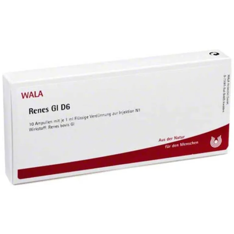 Renes GL D 6 Ampullen, 10X1 ml Niere, Blase & Prostata