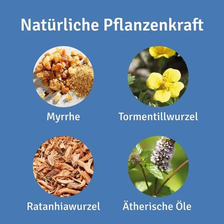 Repha OS Mund- und Rachenspray, 12 ml