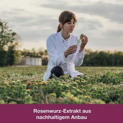 Sale rhodioLoges® 200 mg Filmtabletten, 60 St Beruhigungsmittel