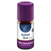 Sale Taoasis Schlaf gut Öl intensiv Bio, 5 ml