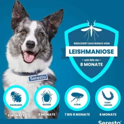 Online Seresto Halsband für große Hunde über 8 kg, 1 St