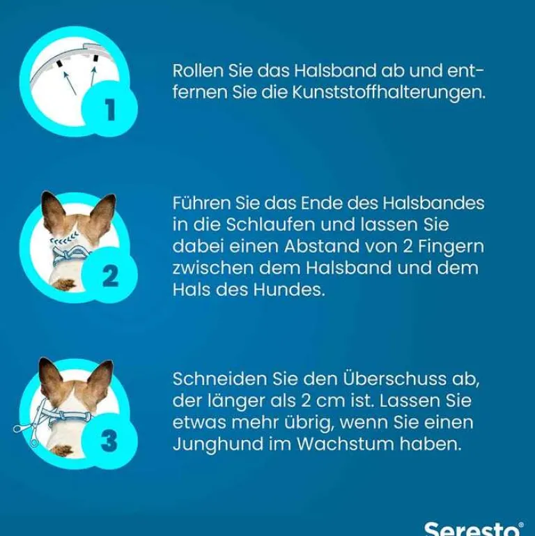 Online Seresto Halsband für große Hunde über 8 kg, 1 St