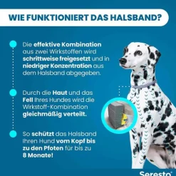 Online Seresto Halsband für große Hunde über 8 kg, 1 St
