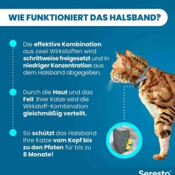 Outlet Seresto ® Halsband für Katzen , 1 St