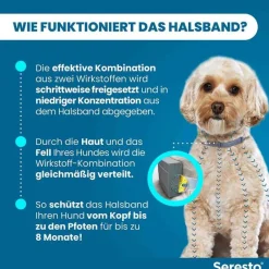 Hot Seresto ® Halsband für kleine Hunde bis 8 kg, 1 St