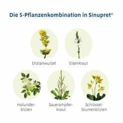 Sale ® überzogene Tabletten, 100 St Schnupfen & Nasennebenhöhlen