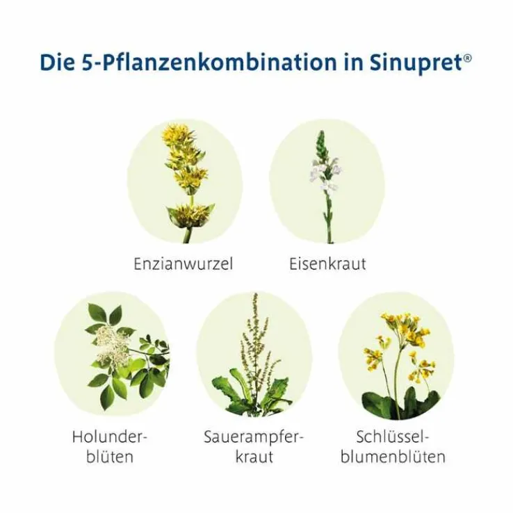 Sinupret® überzogene Tabletten, 200 St