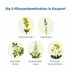 Sinupret® überzogene Tabletten, 50 St