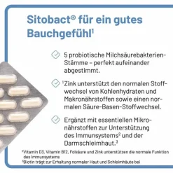 New Sitobact Kapseln, 30 St Bakterienkulturen