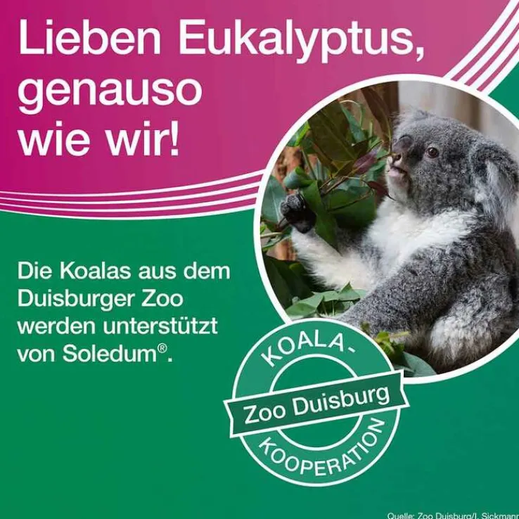 Soledum addicur 200 mg magensaftresistent Weichkapseln, 100 St