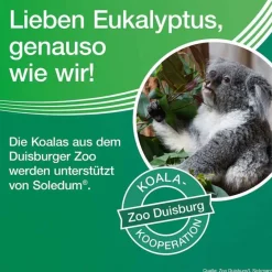 New Soledum Kapseln , 50 St