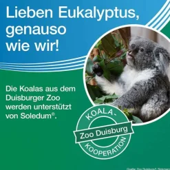 Soledum Kapseln forte, 100 St