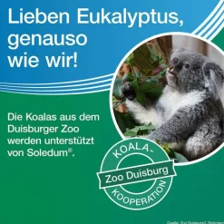 Discount Kapseln forte, 20 St Schnupfen & Nasennebenhöhlen|Hustenlöser