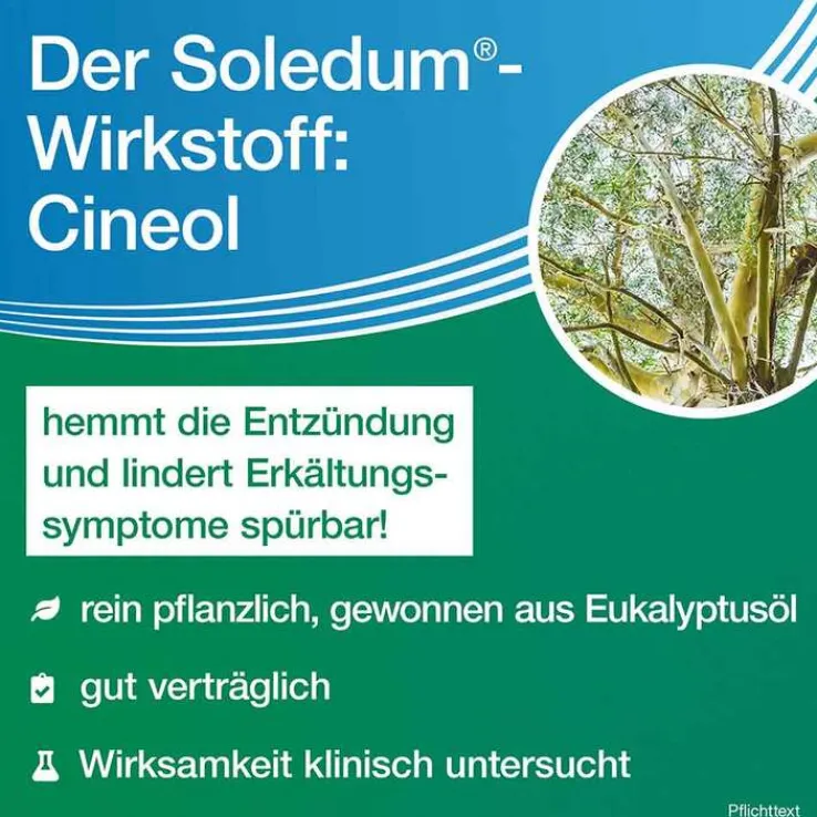 Soledum Kapseln forte, 2x100 St