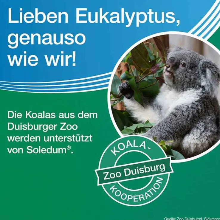 Soledum Kapseln forte, 2x100 St