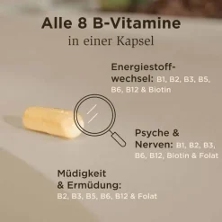 New Solgar Vitamin B-Komplex Kapseln, 50 St