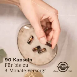 New Vollspektrum Curcumin Kapseln, 90 St Kurkuma Kapseln