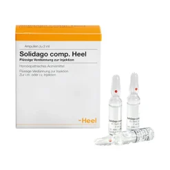 Online Heel Solidago comp. Ampullen, 100 St