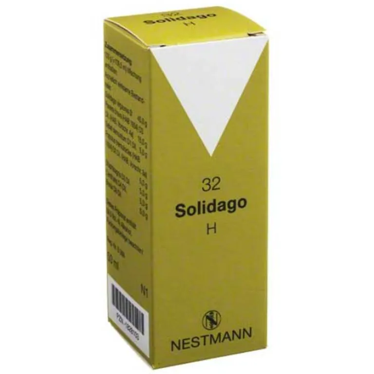 Solidago H 32 Tropfen, 50 ml Nestmann