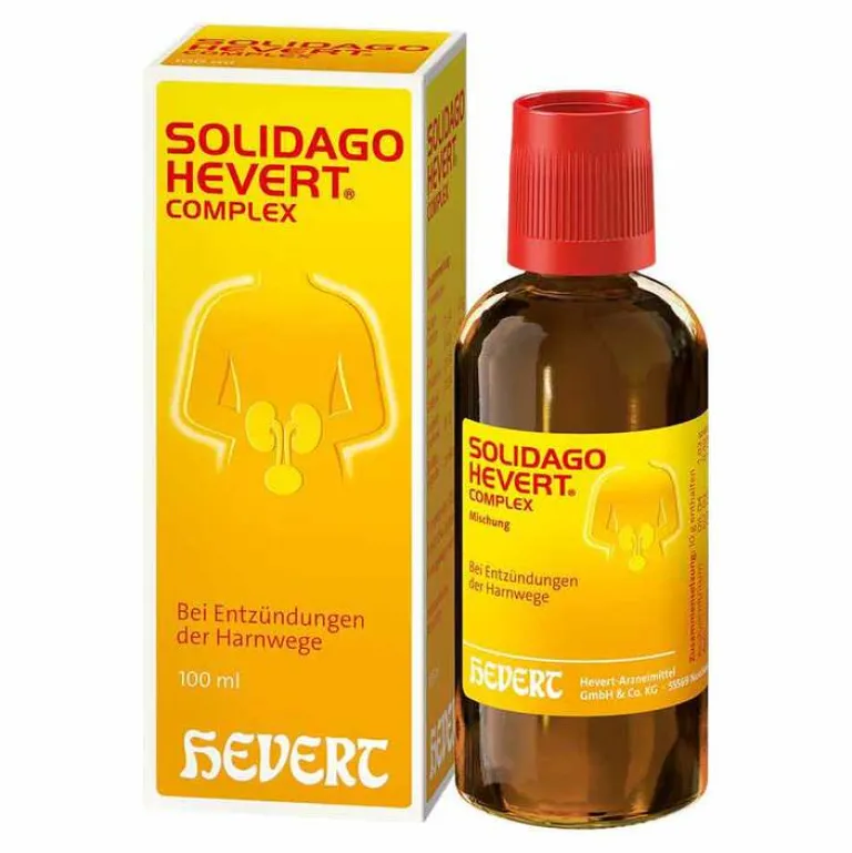New Solidago Complex Tropfen, 100 ml Hevert|Blasenentzündung Medikamente