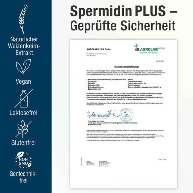 Online Spermidin Plus Kapseln, 60 St
