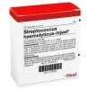 Hot Streptococcus Haemolyticus Ampullen, 10 St Heel
