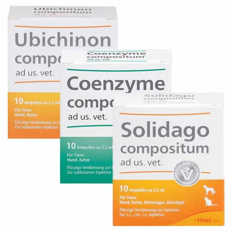 Clearance Suc Kombination, 3x10 St Biologische Heilmittel Heel Gmbh