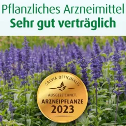 Sweatosan® überzogene Tabletten, 100 St