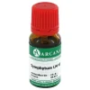 Clearance Symphytum LM 6 Dilution, 10 ml S