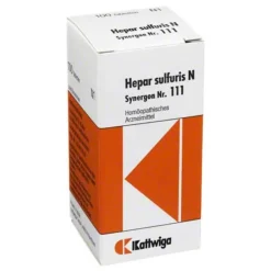 Discount Synergon 111 Hepar sulfuricum N Tabletten, 100 St Kattwiga