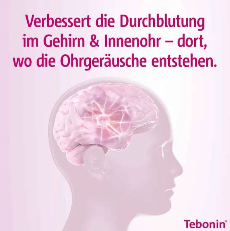 Hot Tebonin ® intens 120 mg Filmtabletten, 120 St