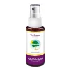 New Taoasis Teebaum Fußspray Bio, 50 ml
