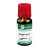 Hot Thuja LM 6 Dilution, 10 ml R-Z|T