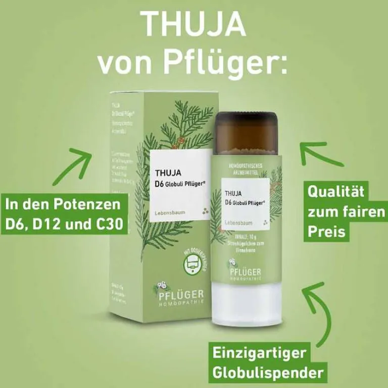 Online Pflüger Thuja D6 Globuli Dosierspender, 10 g