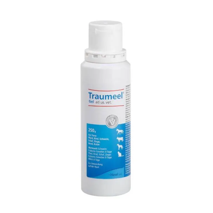 Traumeel Gel vet. (für Tiere), 1X250 g