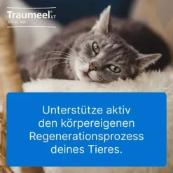 Best LT ad us.vet.Tabletten, 500 St Pferde|Biologische Heilmittel Heel Gmbh