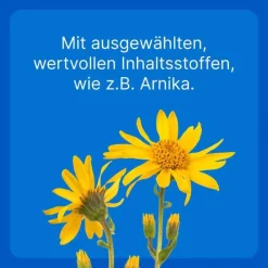 Best LT ad us.vet.Tabletten, 100 St Pferde|Biologische Heilmittel Heel Gmbh