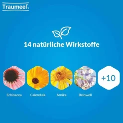 Sale Traumeel ® S Creme, 100 g